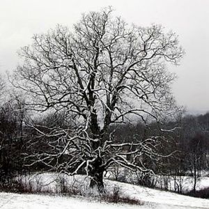 Meet your Posher, Patrice